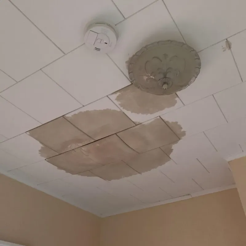 Ceiling Water Damage Repair in Ipswich, SD