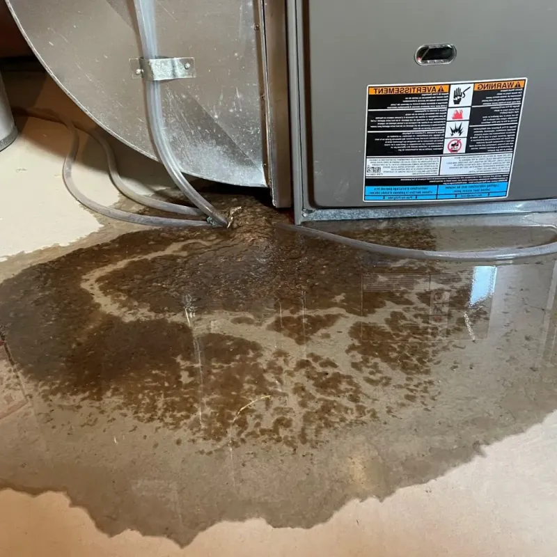 Pipe Burst and Leak Restoration in Ipswich, SD