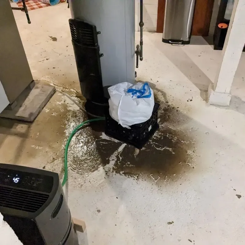 Sewage Backup Cleanup Service in Ipswich, SD